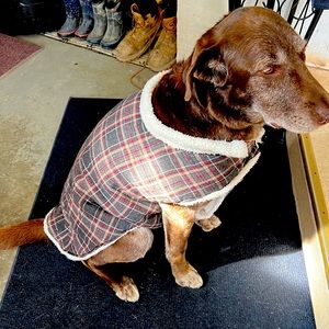 XXL Dog jacket
